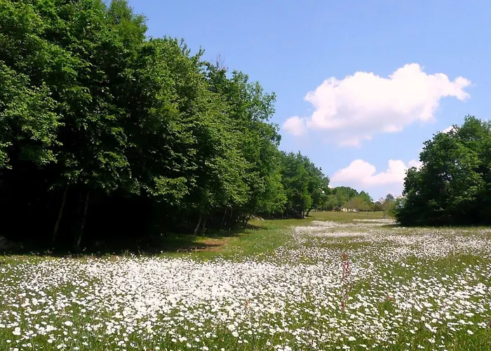 別荘 Domaene Mit Jacuzzi By Interhome